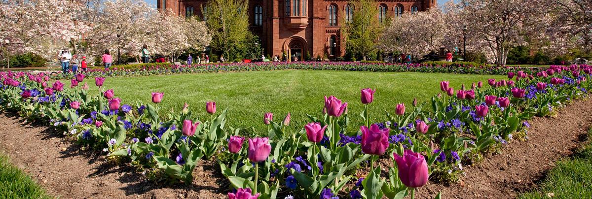 an image of the Smithsonian Haupt Garden landscape