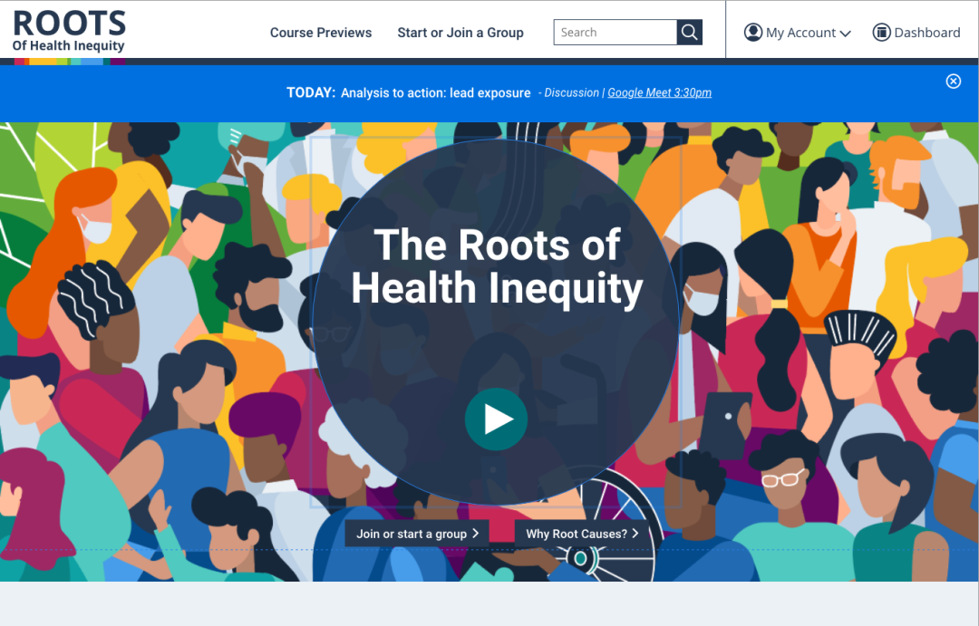 Screenshot of the design for the new Roots of Health Inequity homepage